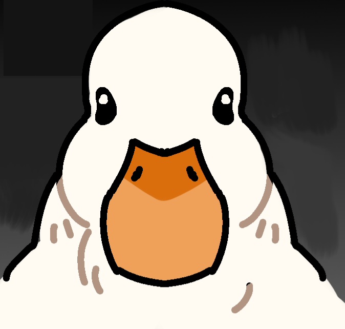 鸭子